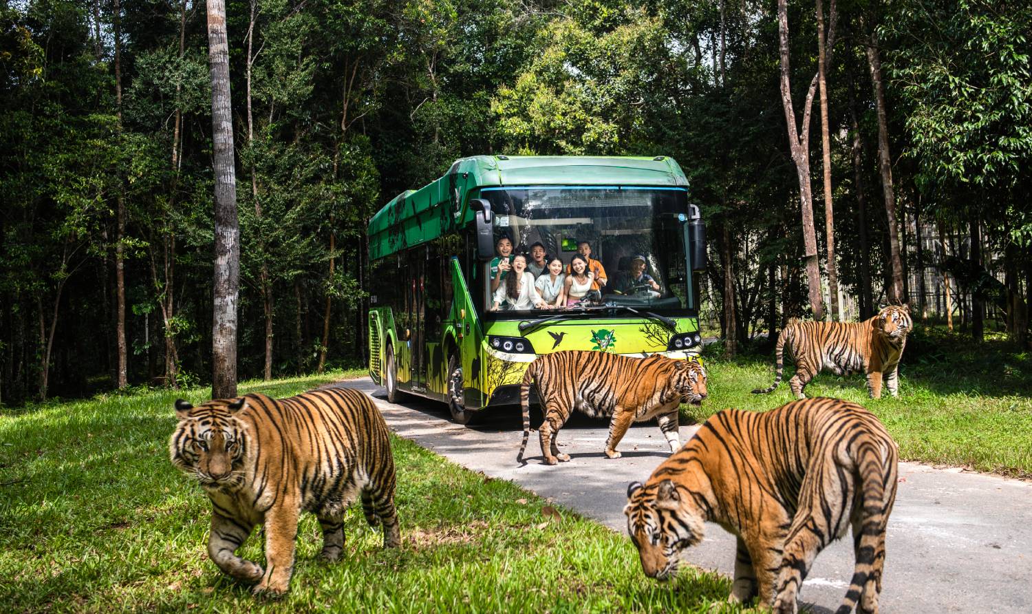 Safari Trail – Hành trình xuyên rừng chạm vào thế giới hoang dã