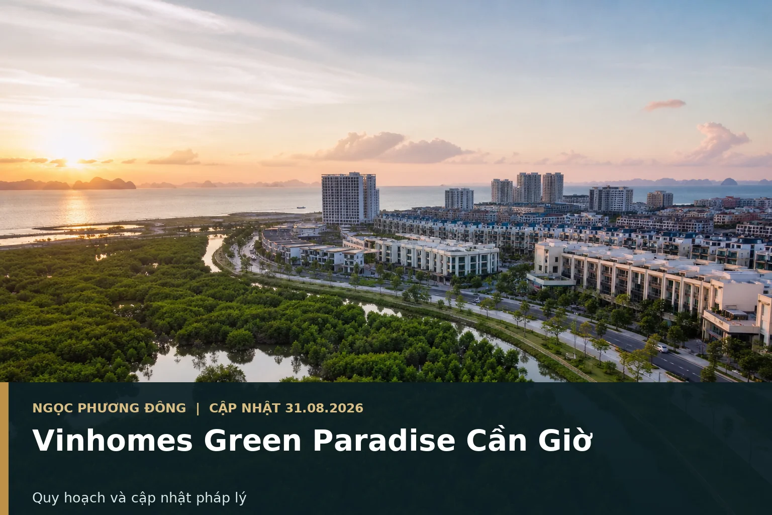 Toàn cảnh đô thị biển gần rừng ngập mặn Cần Giờ nhìn từ trên cao