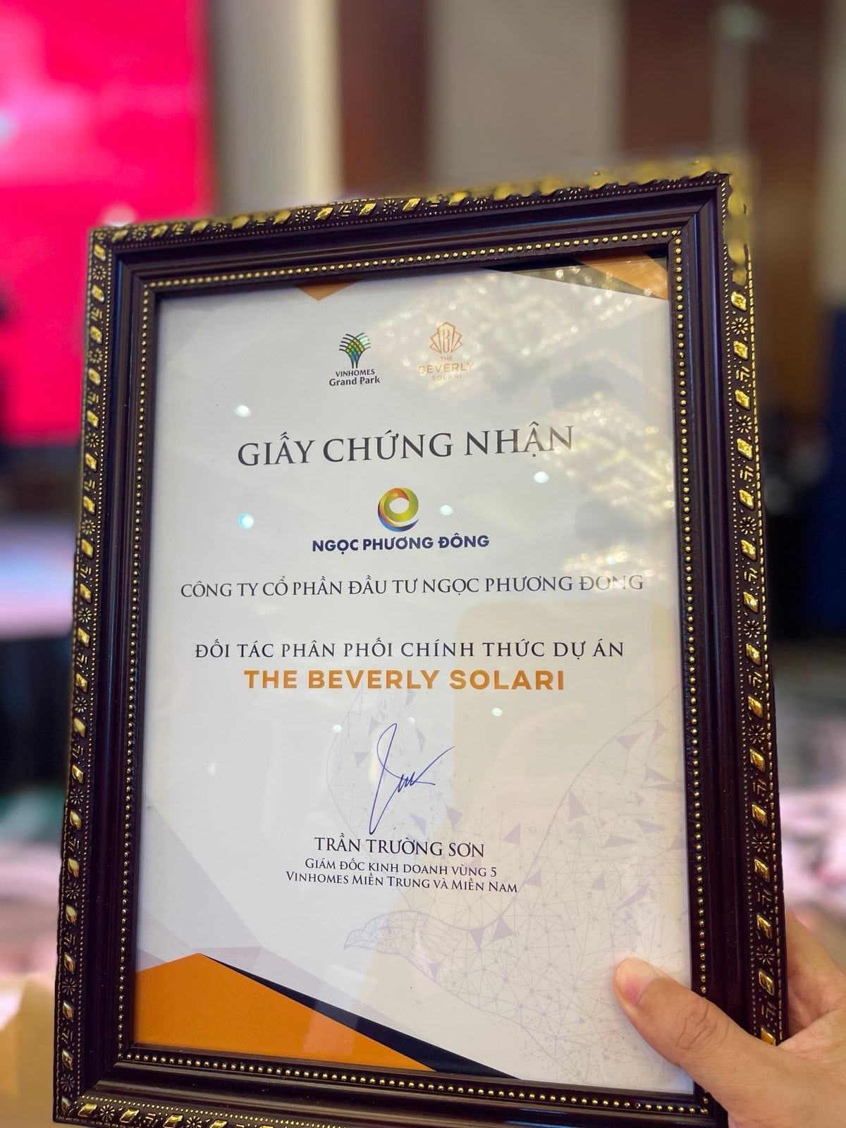 ngoc-phuong-dong-beverly-solari (5)