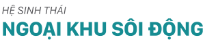 text-tien-ich-ngoai-khu