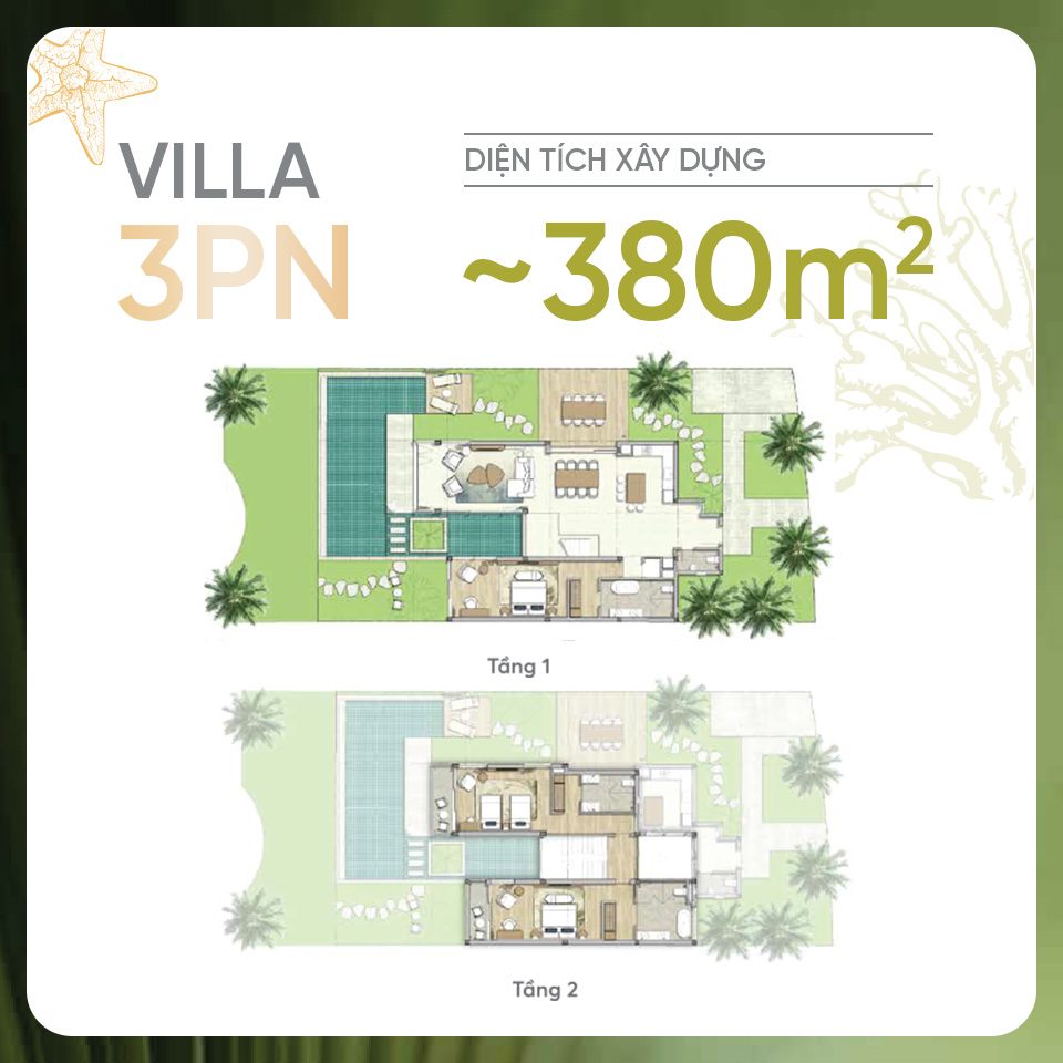 Maia Hồ Tràm